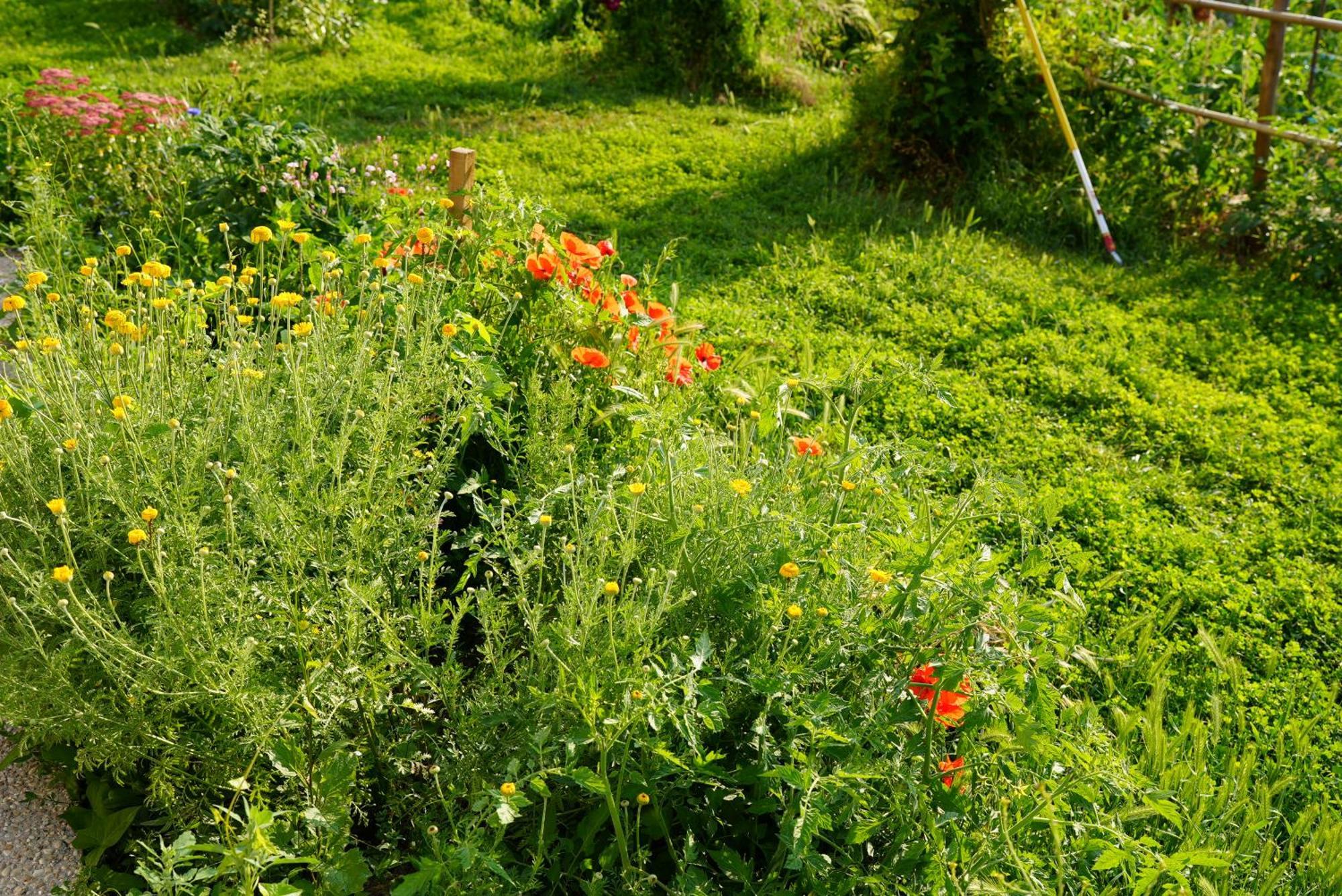 Les Jardins De Felicie Villa Poses Luaran gambar