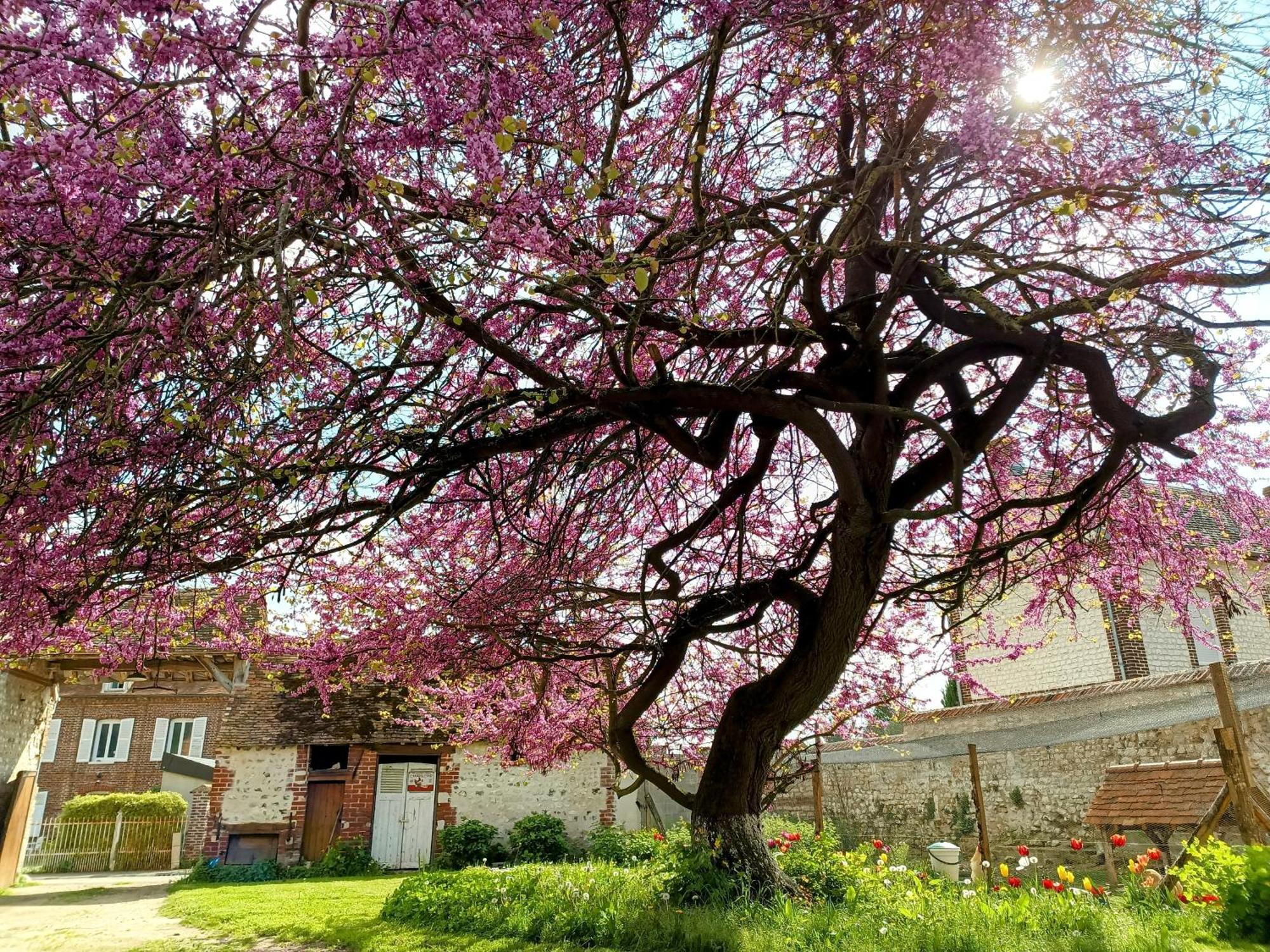 Les Jardins De Felicie Villa Poses Luaran gambar