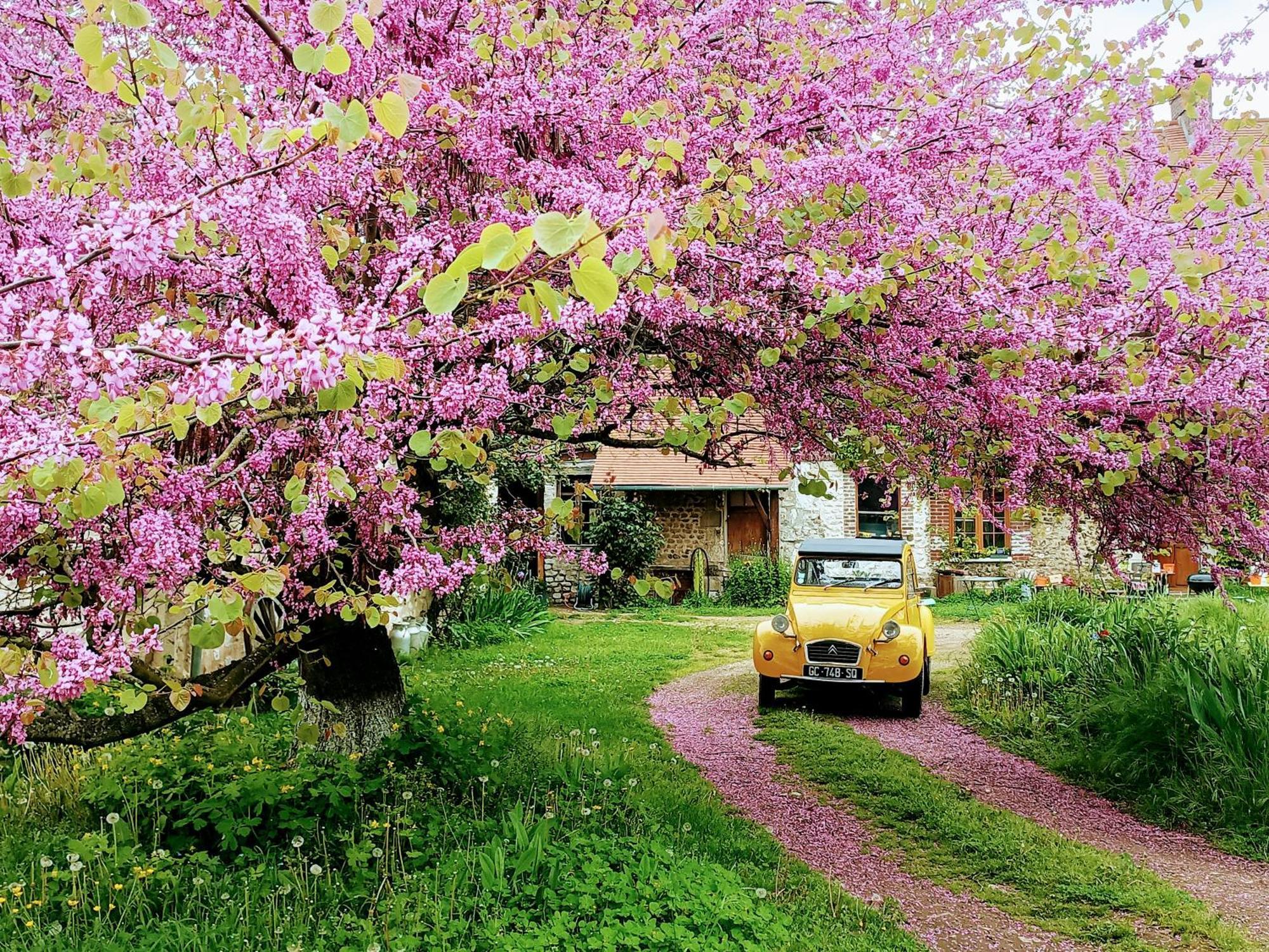 Les Jardins De Felicie Villa Poses Luaran gambar